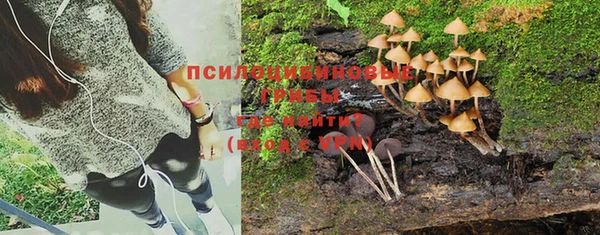 экстази Арсеньев