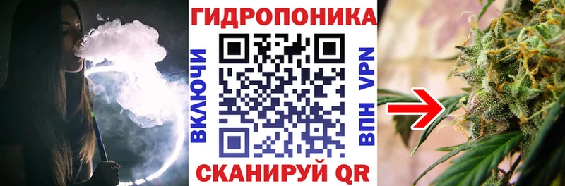 hydra рабочий сайт  Кирово-Чепецк  Шишки марихуана ГИДРОПОН  продажа наркотиков 